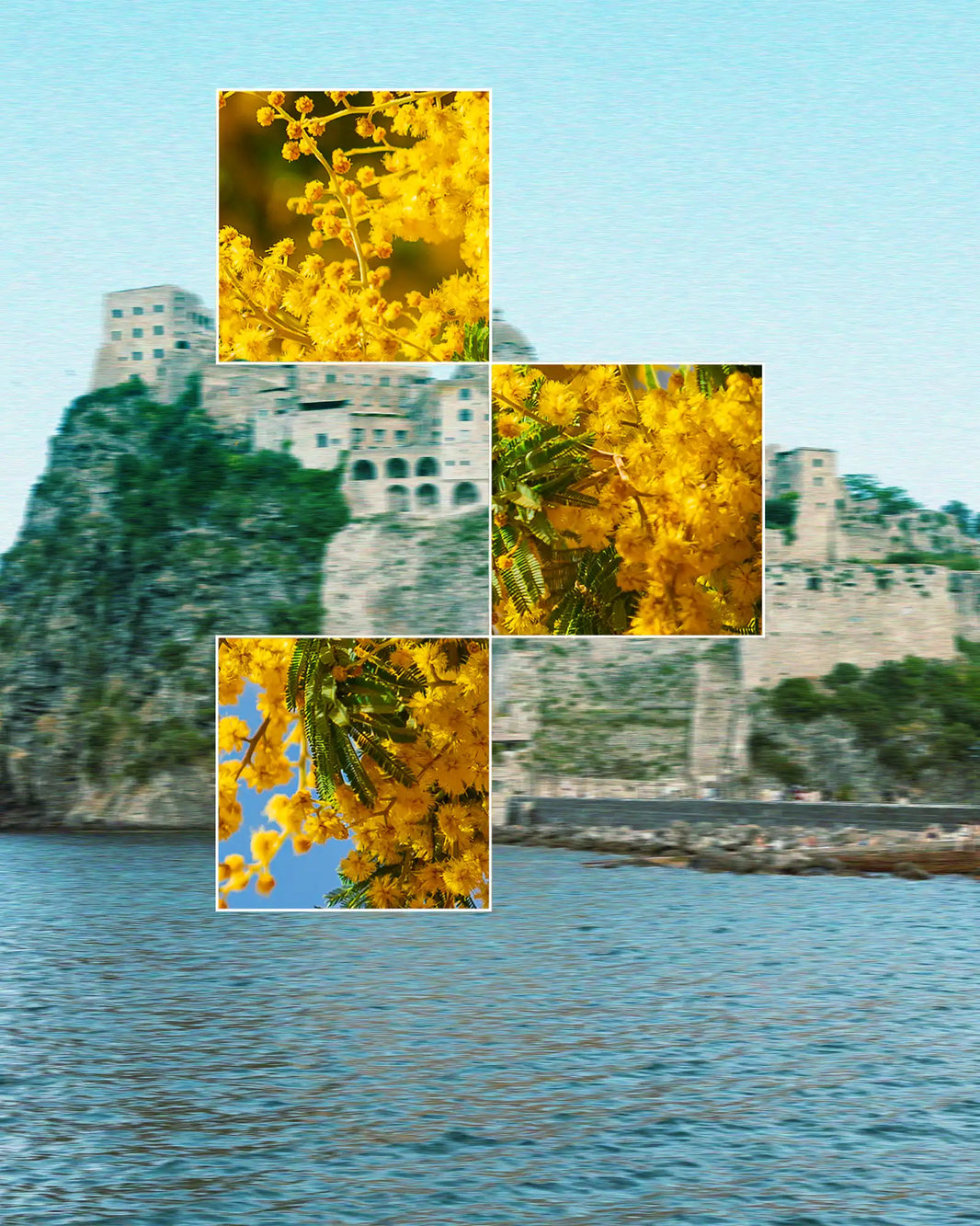 Promo Festa della Donna